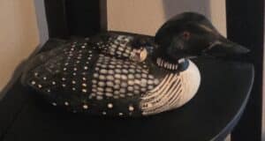 Hand-Carved-Wooden-Loon-Decoy