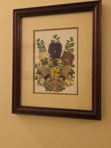 Pressed-Flower-Botanical-Art-by-Margie