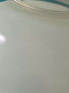 Pyrex-Golden-Scroll-.-Quart-Casserole-fourth-image