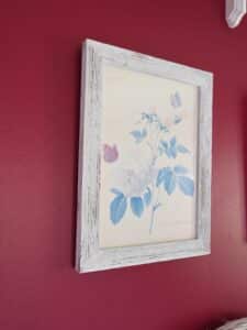 Set-of-Four-Pierre-Joseph-Redout-Botanical-Rose-Prints-fourth-image