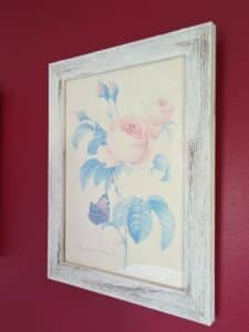 Set-of-Four-Pierre-Joseph-Redout-Botanical-Rose-Prints-sixth-image