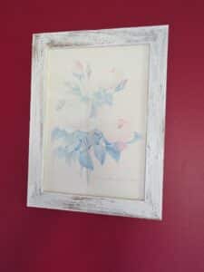 Set-of-Four-Pierre-Joseph-Redout-Botanical-Rose-Prints-third-image