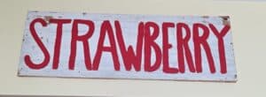 Vintage-Style-Painted-Wooden-Market-Signs-Produce-Collection