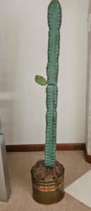 Artificial-Columnar-Cactus