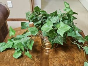 Artificial-Potted-Ivy-Plant