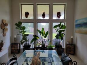 Blue Moon Estate Sale at Fulbrook - The Nurse’s Abstract Expressions: Canvas & Nature