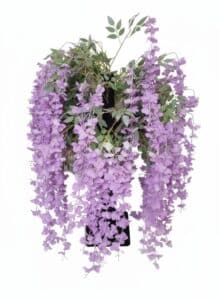 Artificial-Wisteria-Garland-second-image