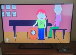 Panasonic-Viera-Flat-Screen-Television