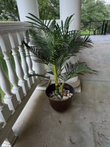 Artificial-Areca-Palm-Plant