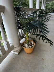 Artificial-Majesty-Palm-Tree-in-Pot