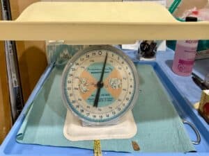 American-Family-Nursery-Scale