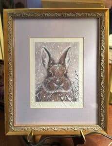 Cool-Cottontail-by-Shane-Dimmick-National-Wildlife-Federation-Print