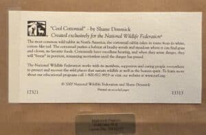 Cool-Cottontail-by-Shane-Dimmick-National-Wildlife-Federation-Print-second-image