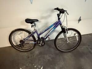 Schwinn-Ranger-FS-Girls-Mountain-Bike