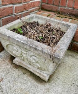 Vintage-Concrete-Planter-with-Scrollwork-Motif