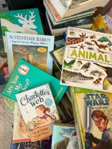 assets_5wLTyde5djzMX8iRJY9u_5wLTyde5djzMX8iRJY9u_1771350689619_0-1