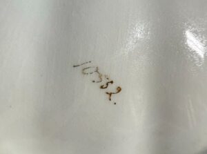 Antique-C.T.-Altwasser-Cobalt-Blue-Porcelain-Serving-Dish-second-image