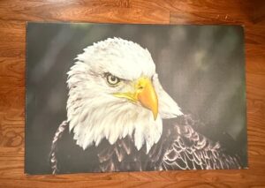 Bald-Eagle-Portrait-Canvas-Print