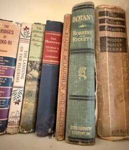 Collection-of-Vintage-Educational-and-Literary-Books