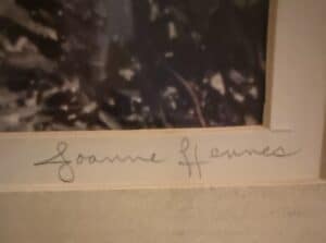 Joanne-Hennes-Limited-Edition-Print-third-image