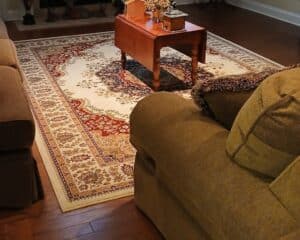 Traditional-Oriental-Area-Rug