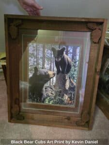 Black-Bear-Cubs-Art-Print-by-Kevin-Daniel