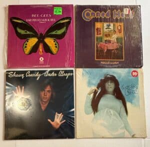 Vintage Vinyl Record Collection