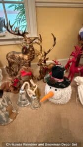 Christmas-Reindeer-and-Snowman-Decor-Set