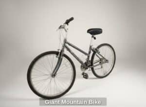 Giant-Mountain-Bike