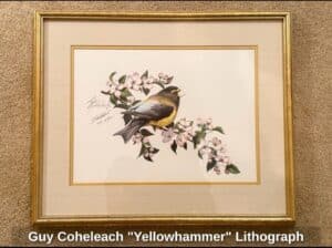 Guy-Coheleach-Yellowhammer-Lithograph-1