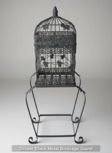 Ornate-Black-Metal-Birdcage-Stand