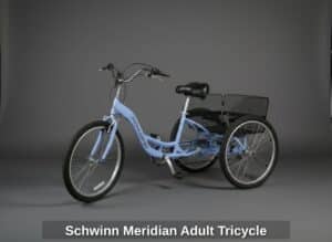 Schwinn-Meridian-Adult-Tricycle