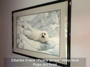 Charles-Frace-Peace-on-Ice-Harp-Seal-Pups-Art-Print-1