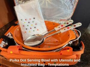 Polka-Dot-Serving-Bowl-with-Utensils-and-Insulated-Bag-Temptations-1