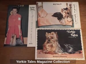 Yorkie-Tales-Magazine-Collection