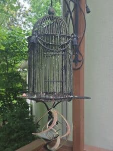 Ornate-Wrought-Iron-Birdcage-Decor-with-Kinetic-Spinner