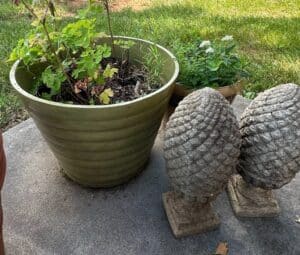 Assorted-Garden-Pots-and-Decor-1