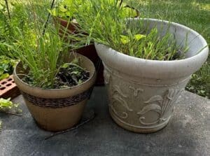Assorted-Garden-Pots-and-Decor-second-image-1