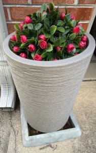 Modern-Tapered-Planter-1