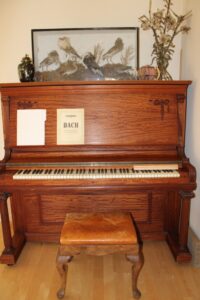 Sonoma Artist's Rustic Retreat Estate Sale