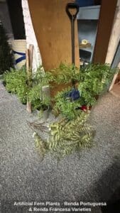 Artificial-Fern-Plants-Renda-Portuguesa-Renda-Francesa-Varieties