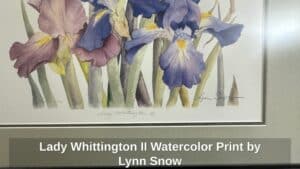 Lady-Whittington-II-Watercolor-Print-by-Lynn-Snow-second-image
