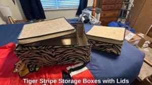 Tiger-Stripe-Storage-Boxes-with-Lids