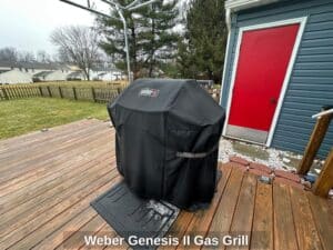 Weber-Genesis-II-Gas-Grill