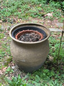 IMG_5765