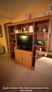 Sauder-Orchard-Hills-Oak-Entertainment-Center-with-Cabinet