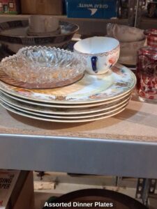 Assorted-Dinner-Plates