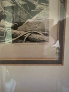 IMG_6841