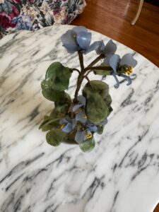 IMG_3026