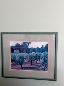 IMG_8469